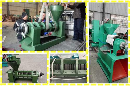 cold oil press machine