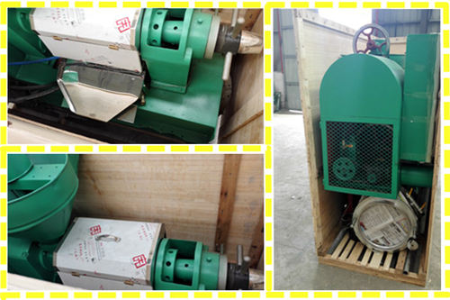 cold oil press machine