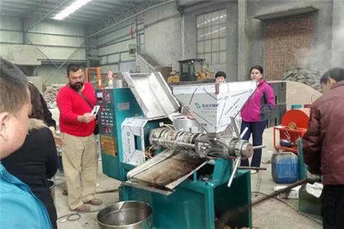 sesame oil press machine