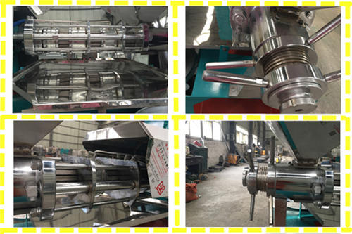 peanut oil press machine