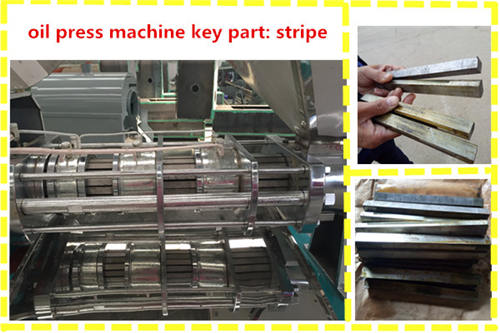 cotton seed oil press machine