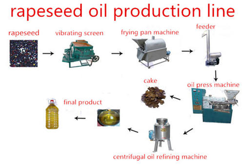 rapeseed oil press machine