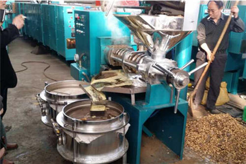 corn oil press machine