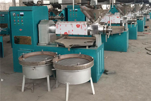 rice bran oil press machine