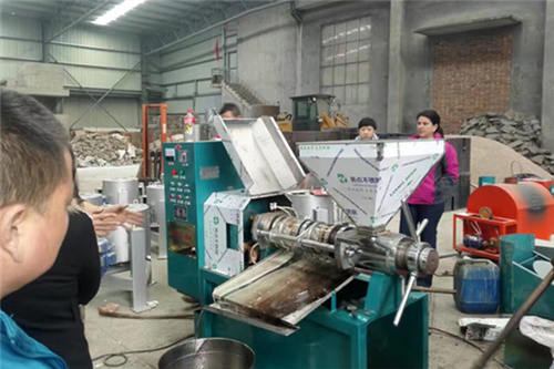 rice bran oil press machine