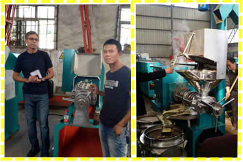 castor oil press machine