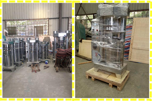 hydraulic oil press machine