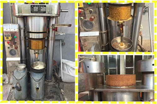 hydraulic sesame oil press machine